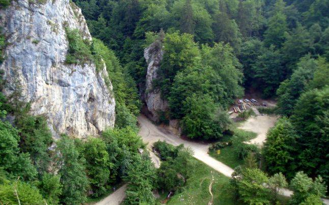 Figyelik a brassói medvetámadás környékét