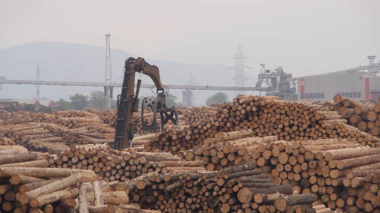 Jelöletlen rönköket szállítottak a Schweighofernek