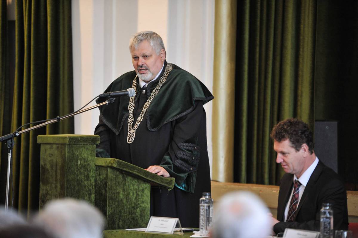 • Fotó: Mohácsi László Árpád