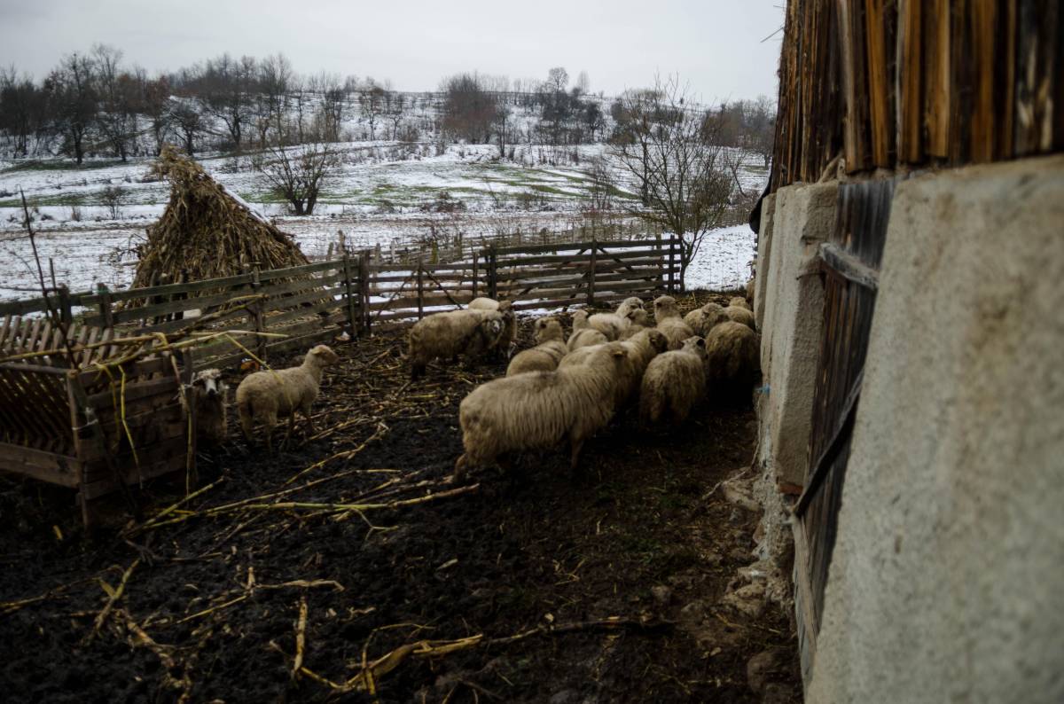 &bullet;  Fotó: Barabás Ákos