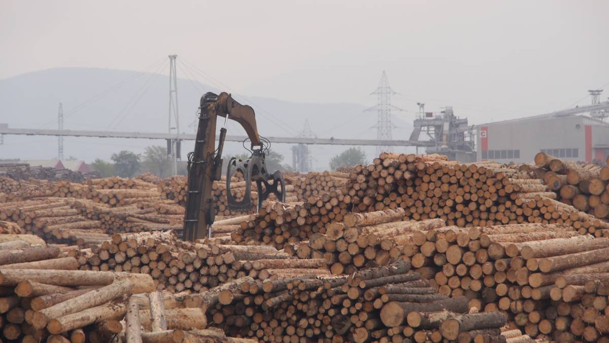 • Fotó: eia-global.org