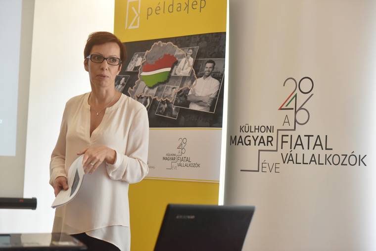 Vállalkozói példakép kerestetik