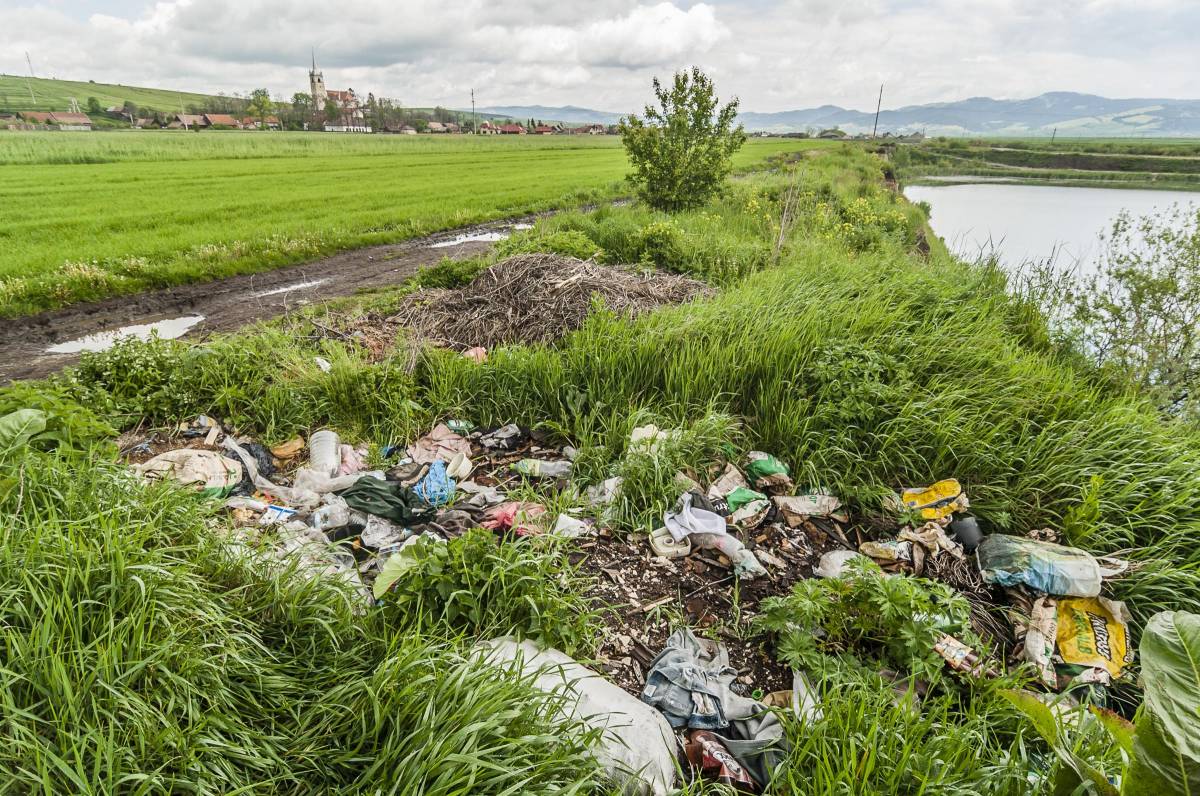 • Fotó: Veres Nándor