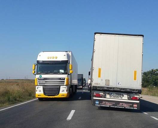 A legtöbben gépkocsivezetőként helyezkednének el