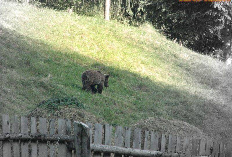 • Fotó: Kertész László