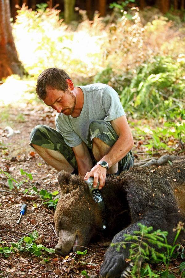 Magánadakozók segítik a bocsetetést a medve-visszavadító központban