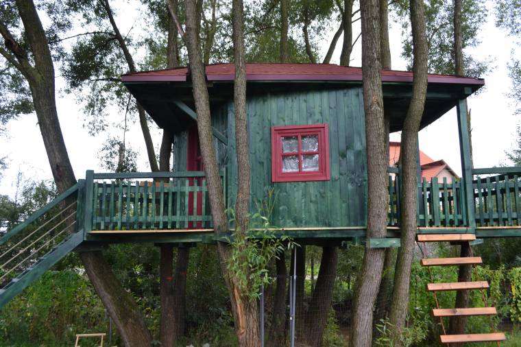 Fűzfákra épített meseház Gyergyóalfaluban