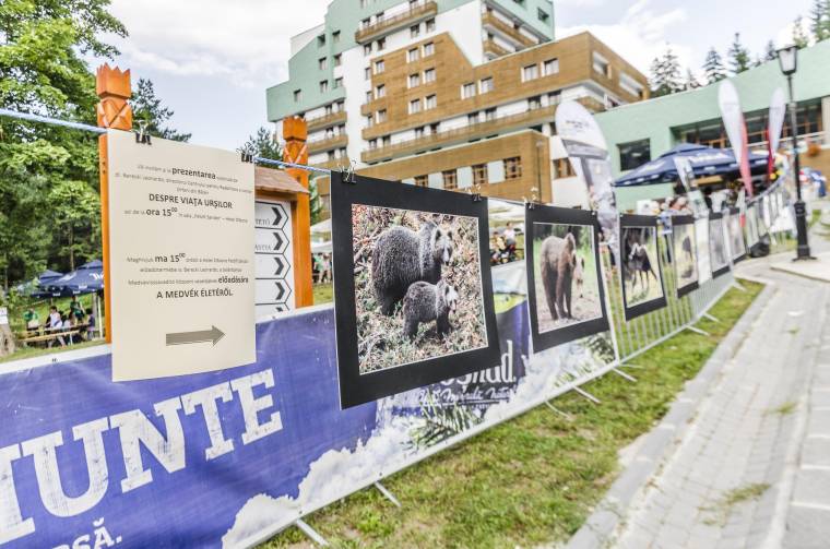 Hétvégi programajánló medvével, zenekarok versenyével, falunappal