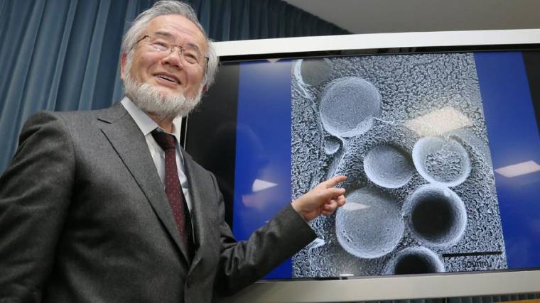 Orvosi Nobel-díjat ért az „önevés” kutatása