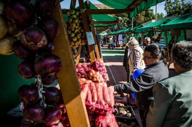 Gazdag felhozatal a székelyföldi őszi vásárokon