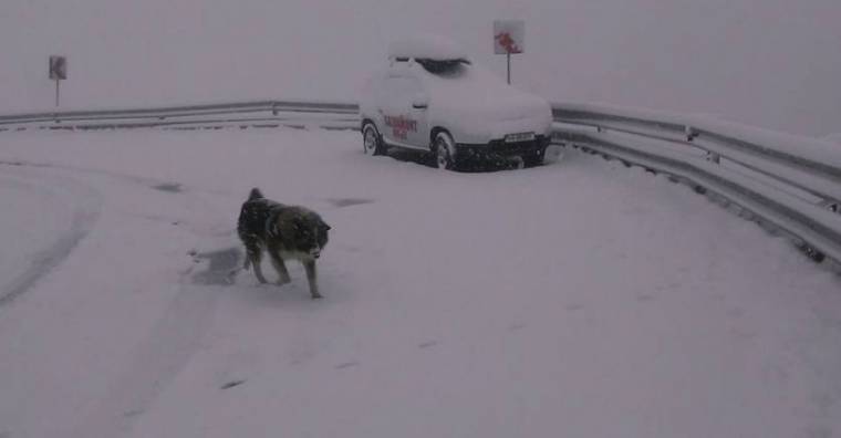 Beköszöntött a tél a Transzfogarason