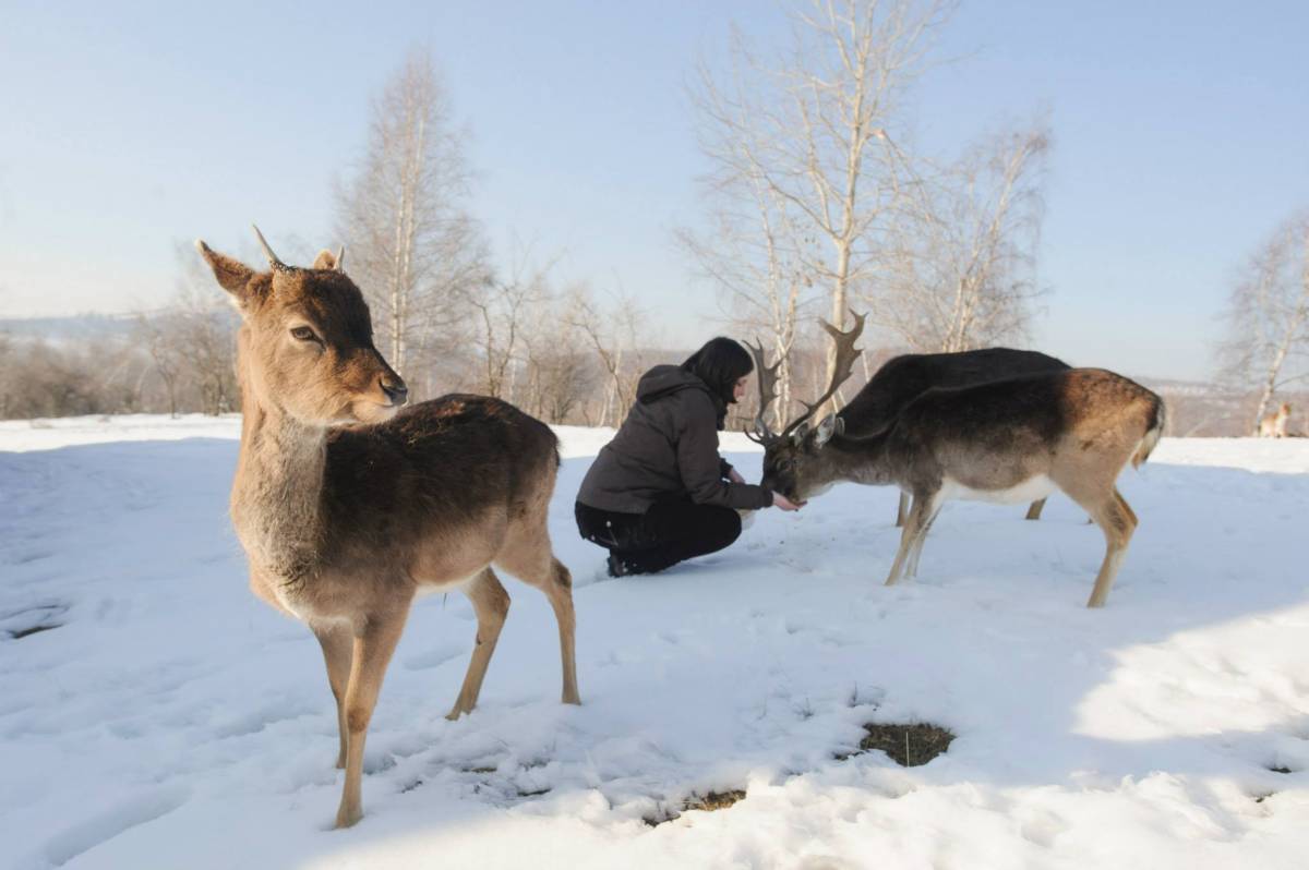 • Fotó: Biró István