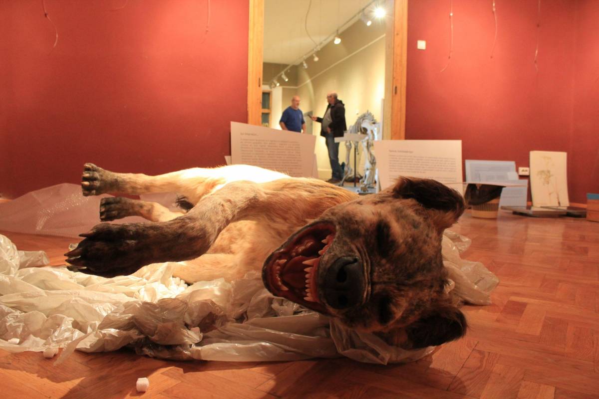 •  Fotó: Szőcs Levente