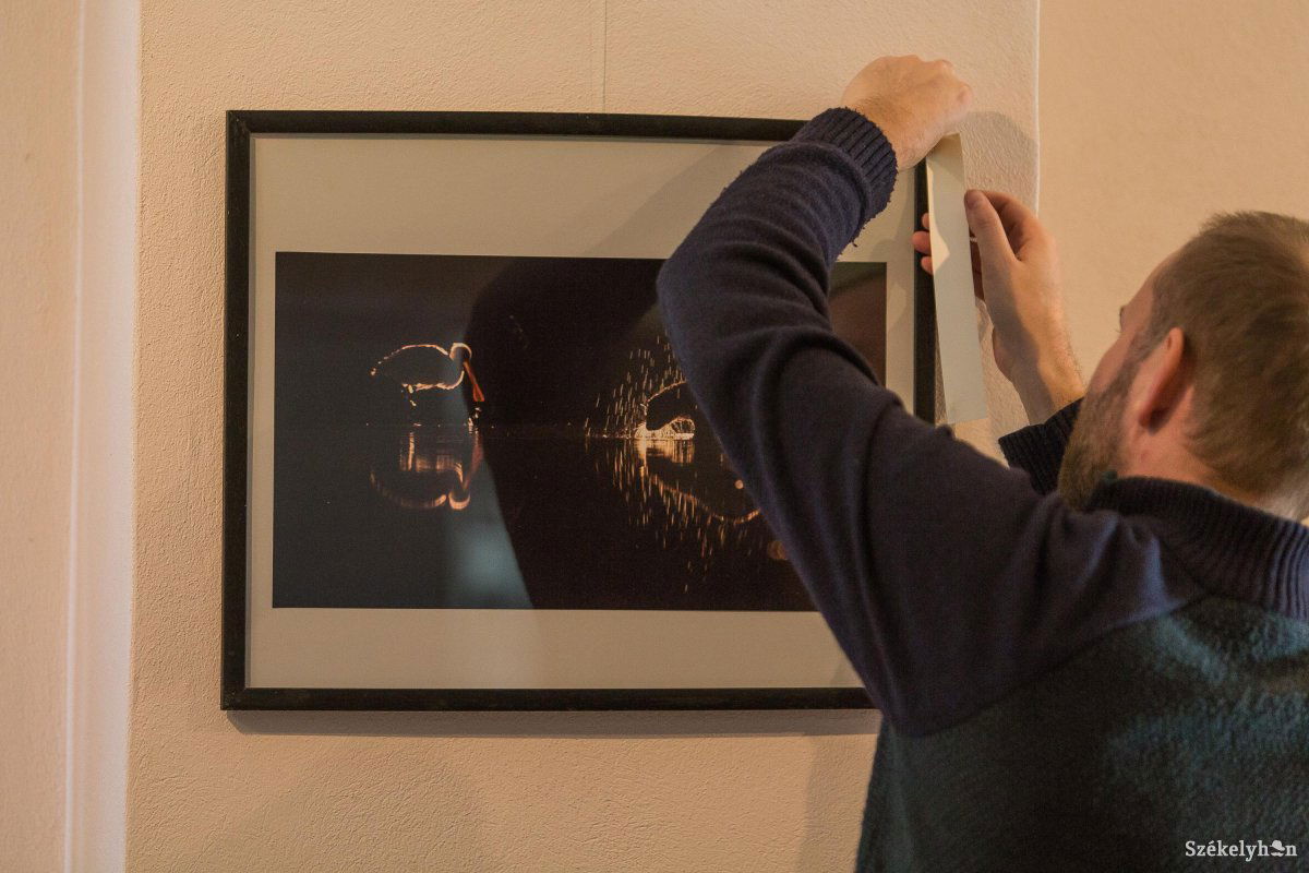 •  Fotó: Boda L. Gergely