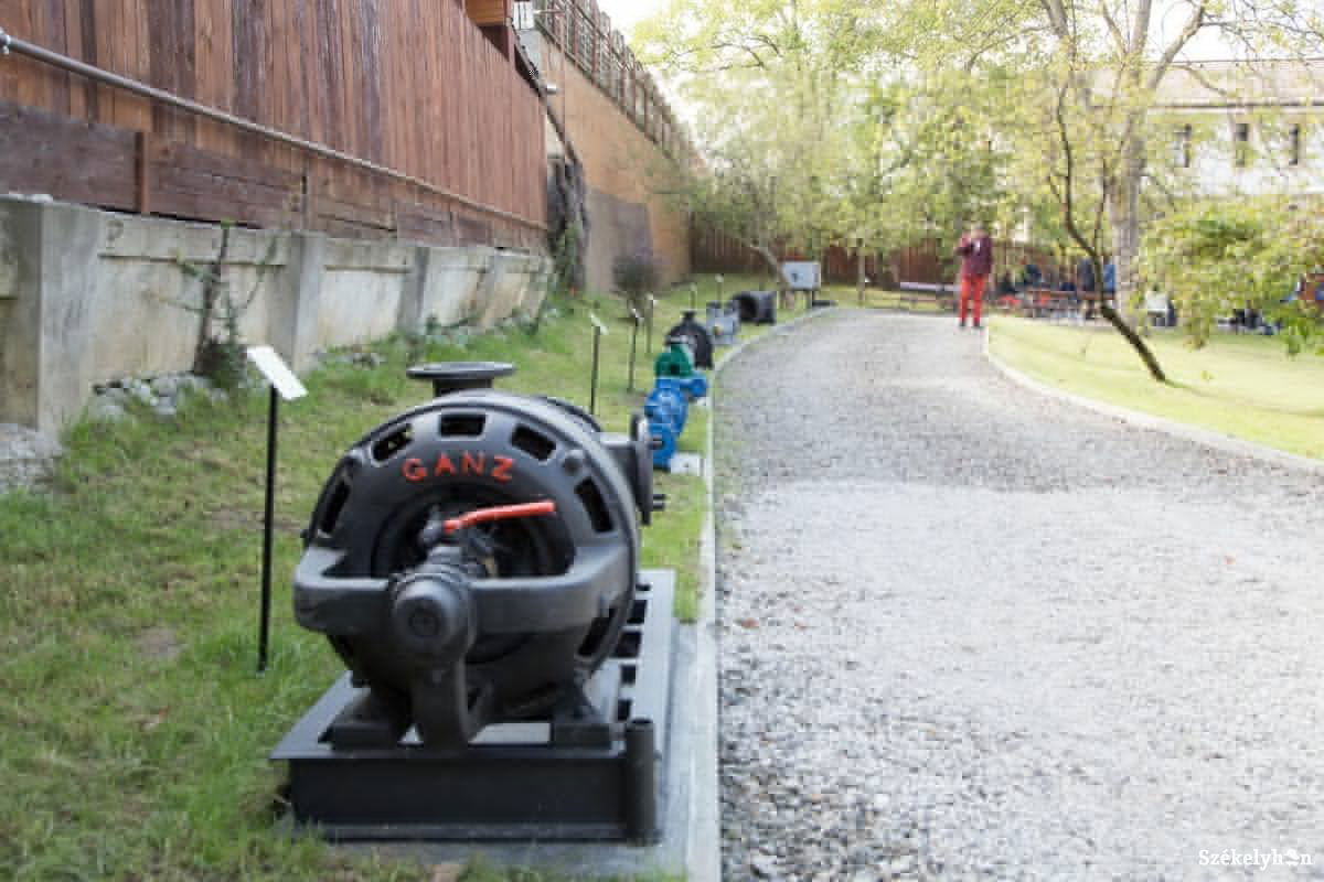 • Fotó: Boda L. Gergely