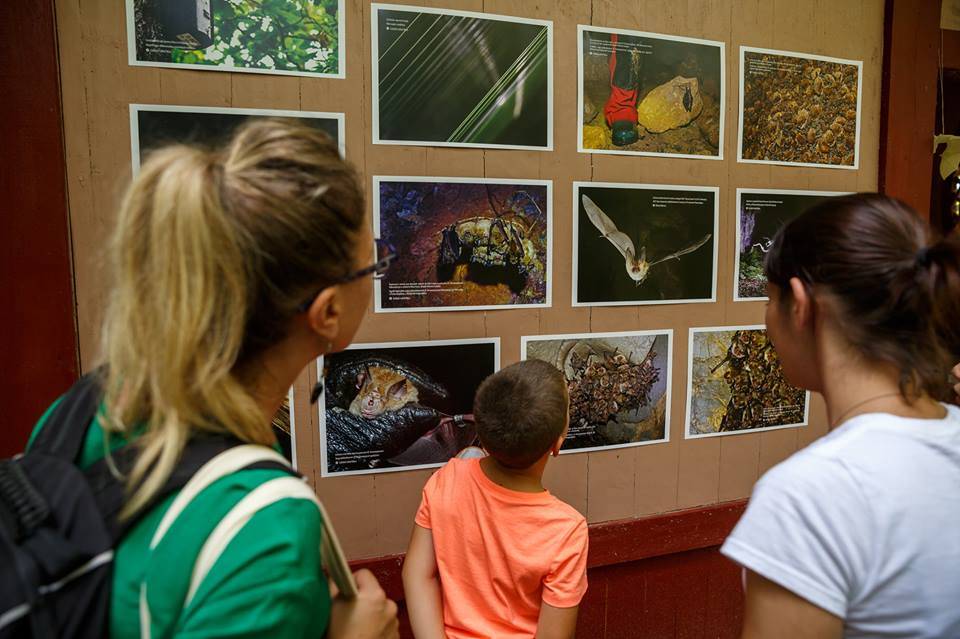 •  Fotó: Facebook/Visit Cluj