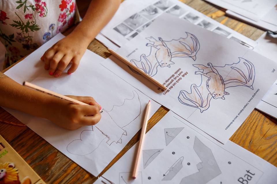 •  Fotó: Facebook/Visit Cluj