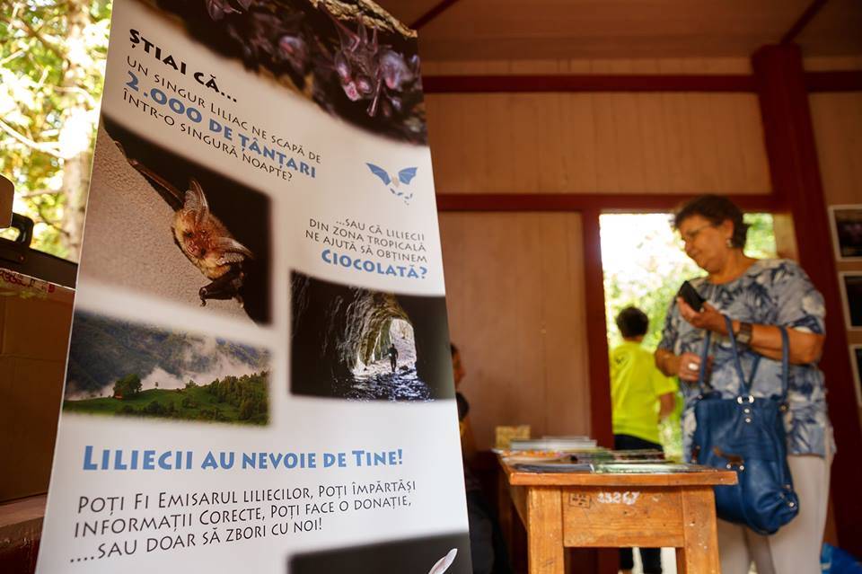 •  Fotó: Facebook/Visit Cluj