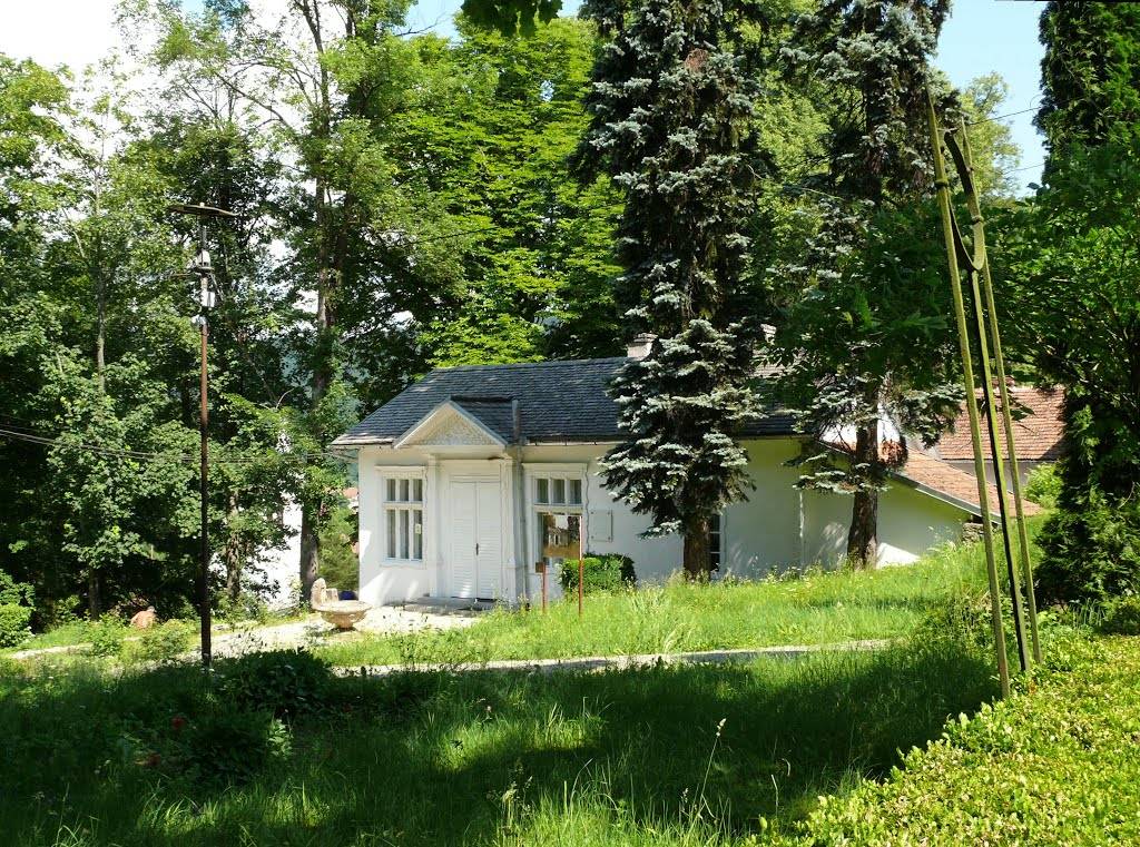 A Fehér ház, ahol az Ady Endre-kiállítás kap helyet •  Fotó: Panoramio