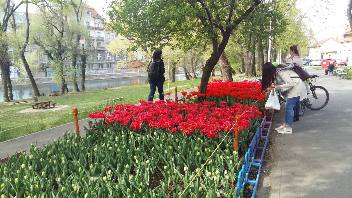 &bullet;  Fotó: Bihon.ro