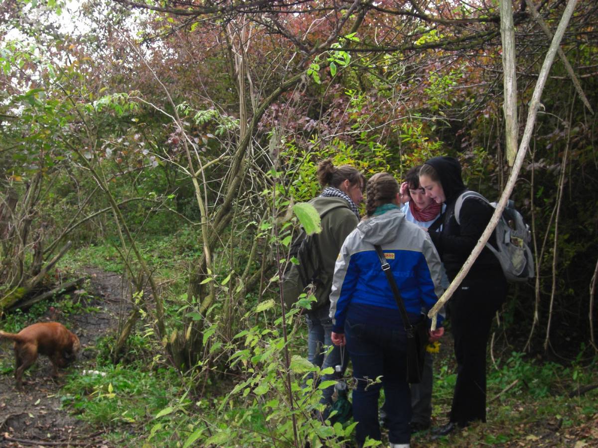 •  Fotó: Aprocsodak.blogspot.com