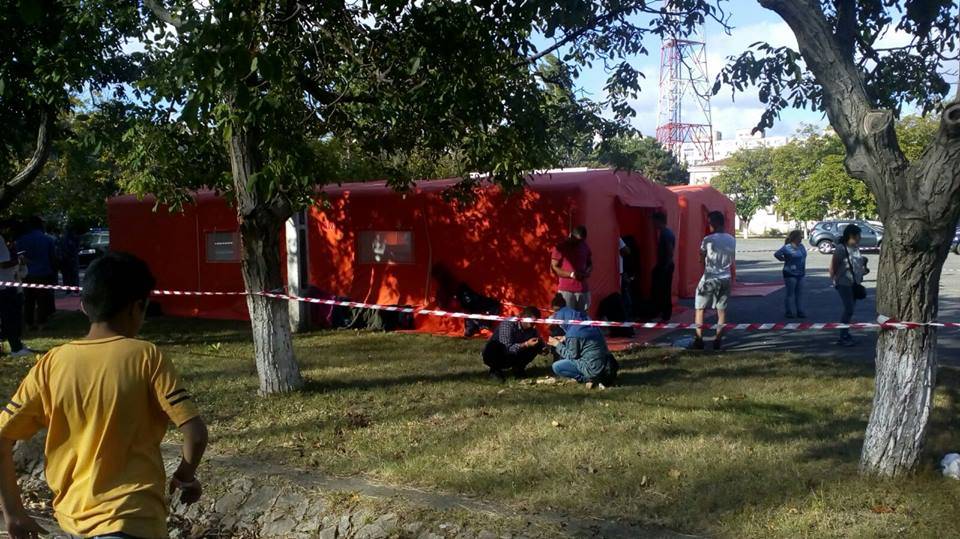 •  Fotó: Carmen Dan Facebook-oldala
