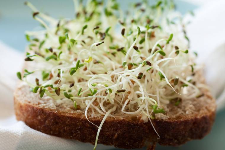 Vitaminokat, fehérjéket is tartalmaznak a különféle csírák