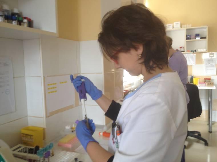 Hazatelepülő tudósok – Minél több kutató foglalkoztatása a cél Szentgyörgyön