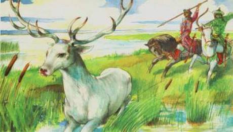 Magyarságtörténeti tantárgyversenyt írnak ki