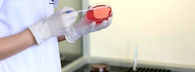 Jelentősen nőtt a kanyarós megbetegedések száma