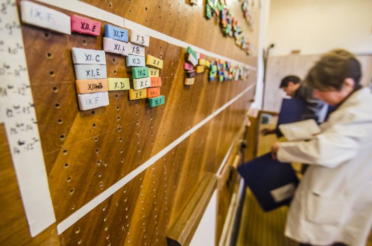 Túlméretezett a Hargita megyei oktatási rendszer kisegítő személyzete – leépítéseket követelnek