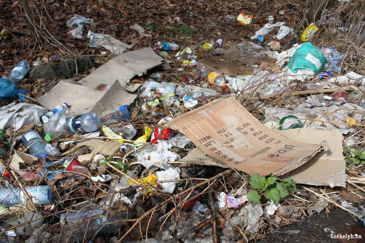 &bullet;  Fotó: Pál Árpád