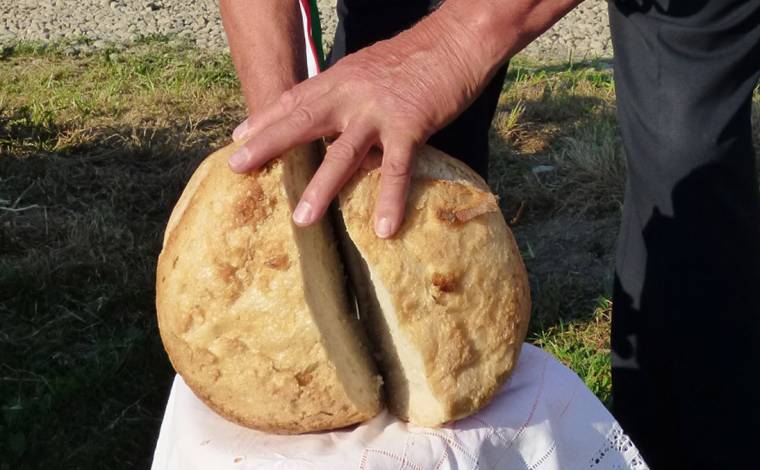 Tíz százalékkal drágulhat a kenyér