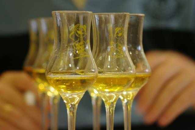 Pálinkafejlődés: ami három évvel ezelőtt aranyérmes volt, idén már csak bronzot kaphatott