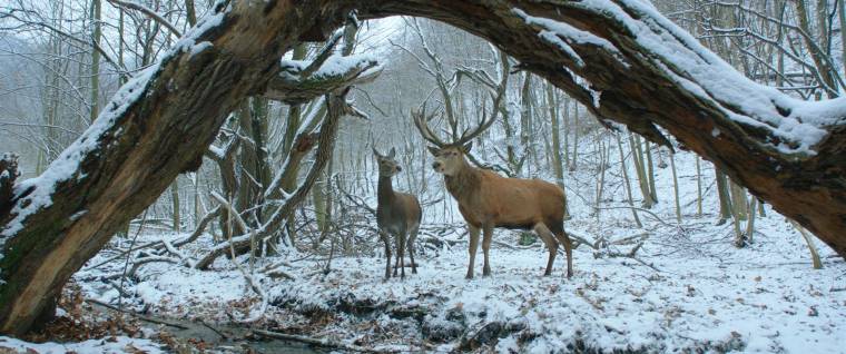 Makai Beáta „testközelből” mesél az Arany Medve díjas film forgatásáról