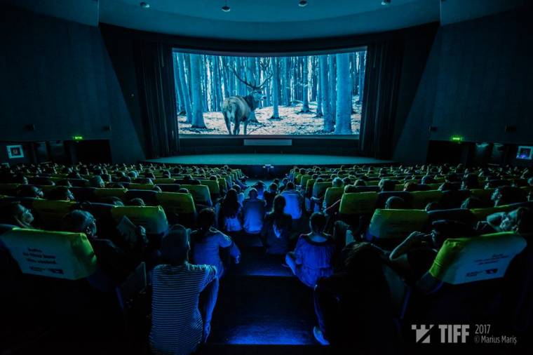 Újabb díjat kapott Enyedi Ildikó filmje