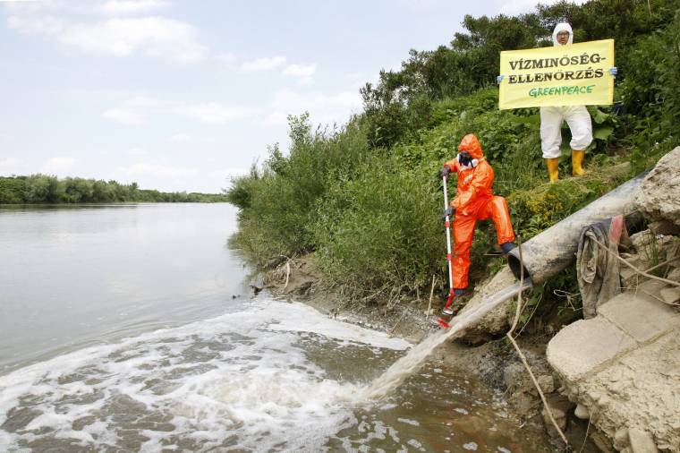 Fertőző E. coli-baktériumot mutattak ki a Szamosban