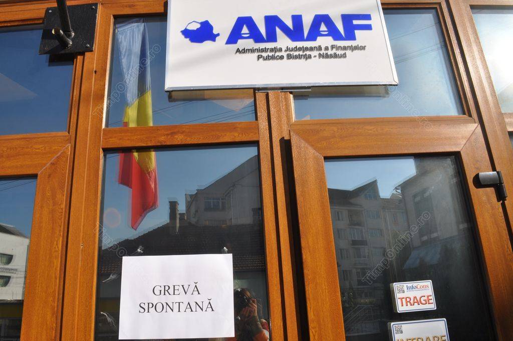 •  Fotó: TimpOnline