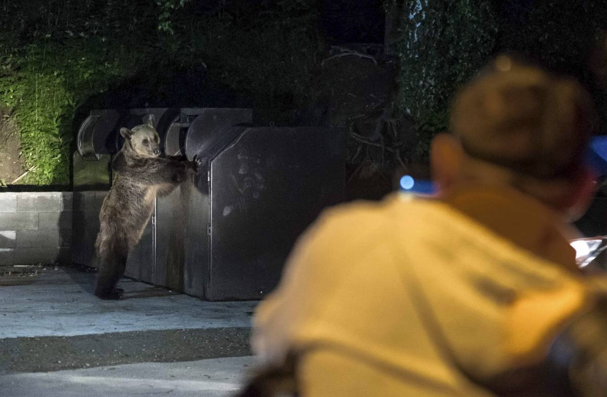 &bullet;  Fotó: MTI/Veres Nándor