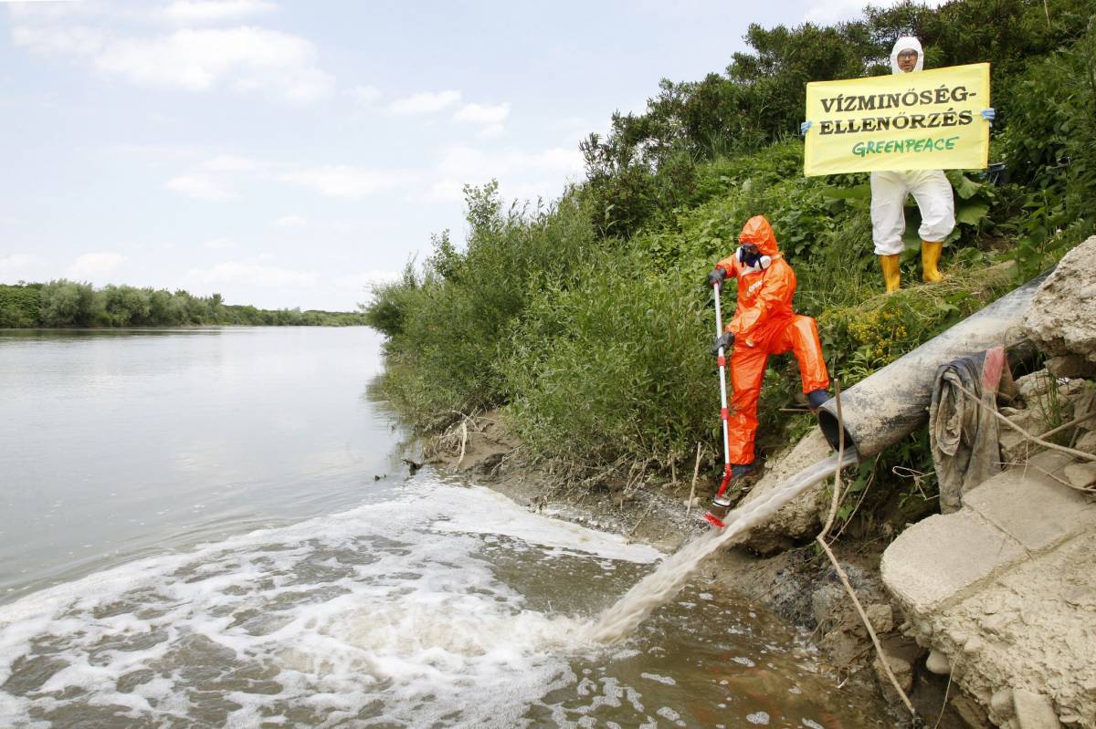 •  Fotó: Flickr/Greenpeace Magyarország