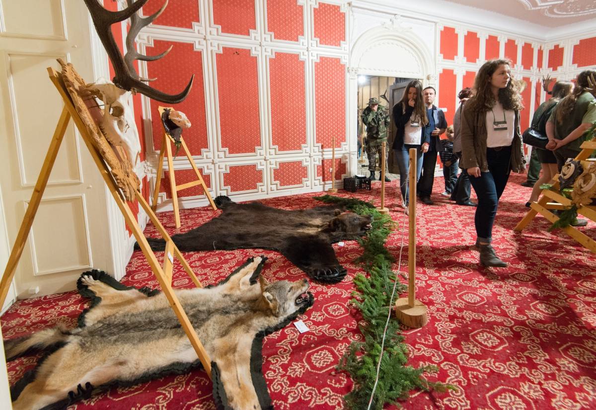 &bullet;  Fotó: Vargyasi Levente