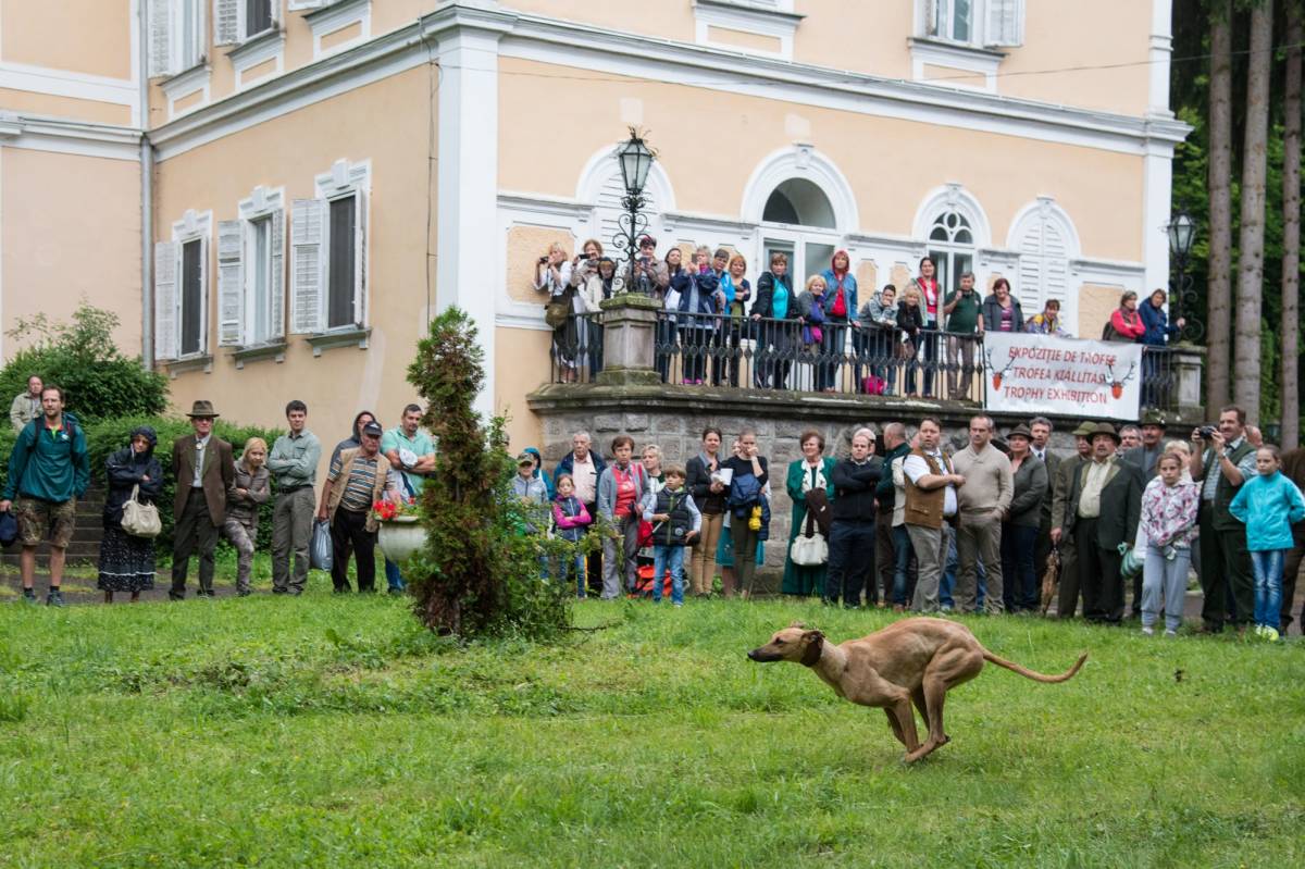 Vadásznapon Háromszéken. Ezúttal Csíkszendomokoson gyűlnek össze a vadászok •  Fotó: Vargyasi Levente