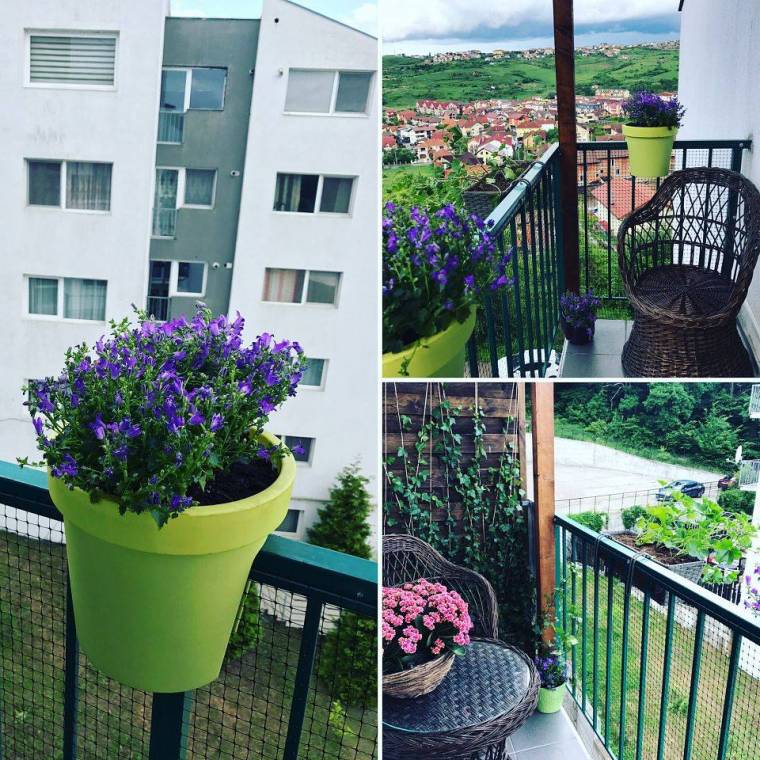 Virágba öltöztették a kolozsvári „betondzsungelt”