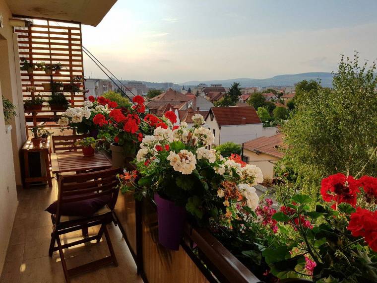 Ismét „kivirágzik” Kolozsvár: a legszebb fűszernövénykertet is díjazzák