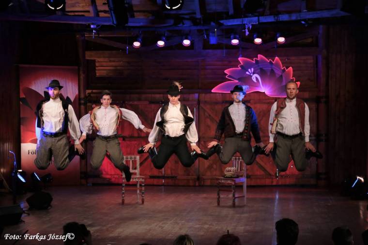 Erdélyi tehetségek a Fölszállott a páva második élő elődöntőjében