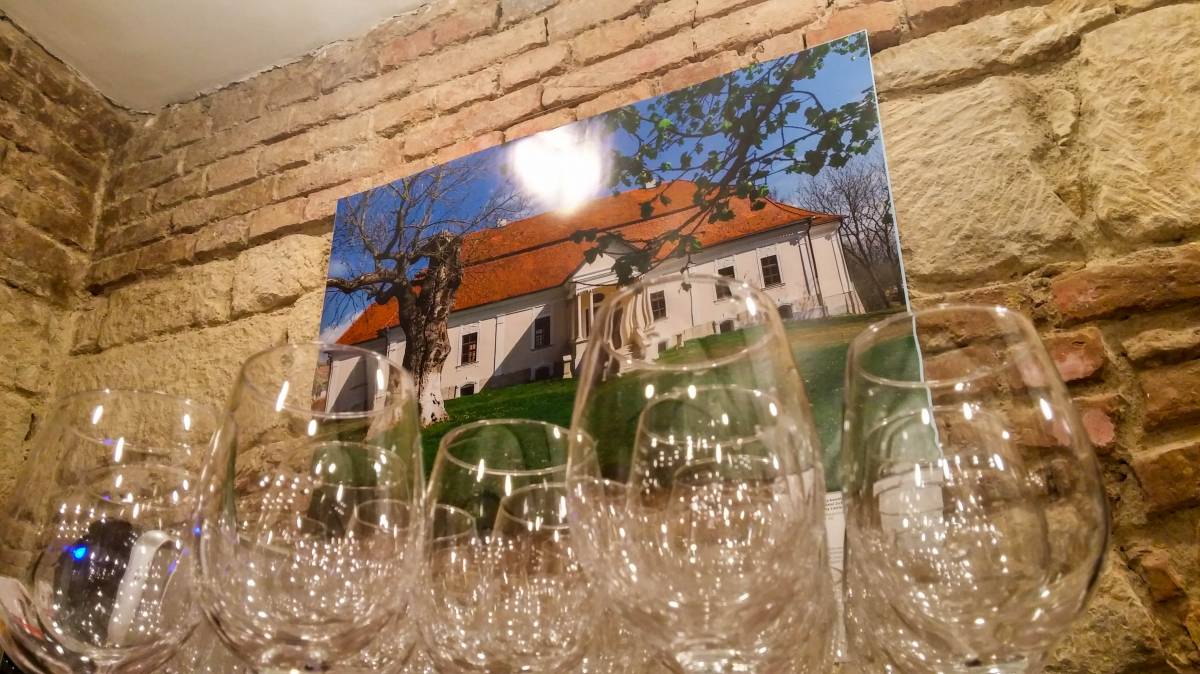 •  Fotó: Tompa Réka