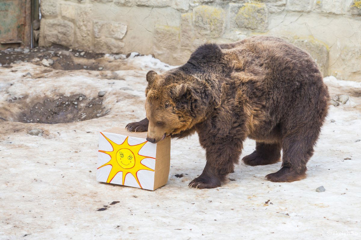 •  Fotó: Boda L. Gergely