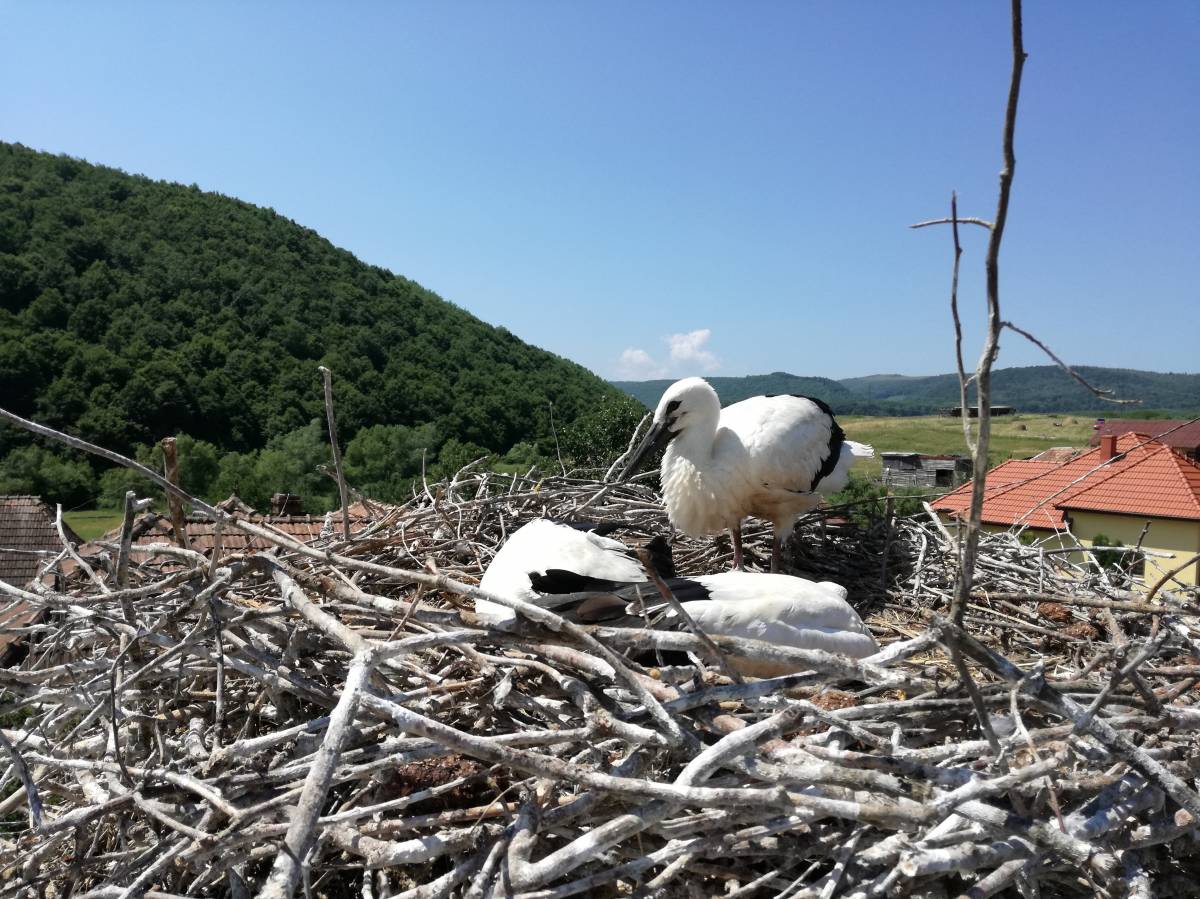 •  Fotó: Szabó D. Zoltán