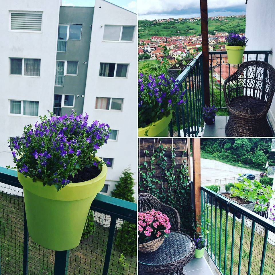 •  Fotó: Lokodi Noémi