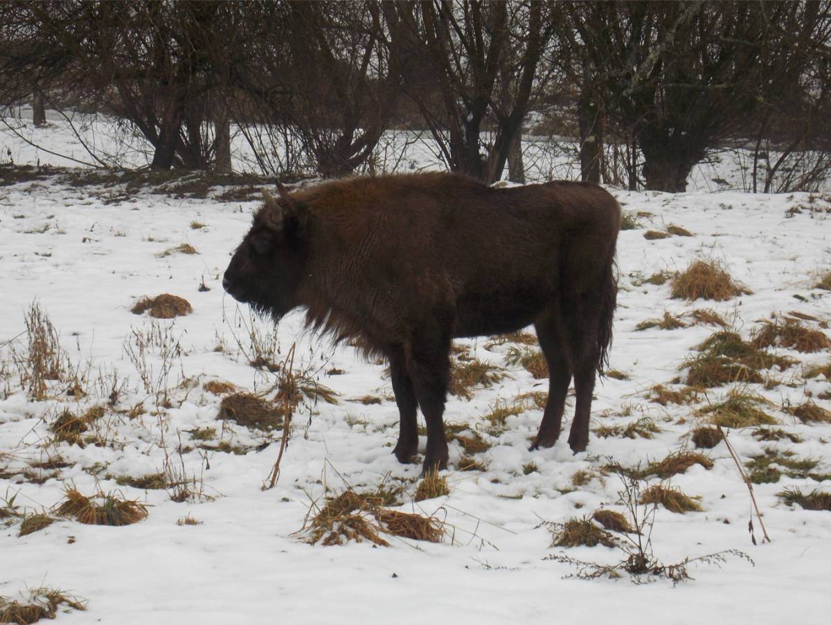 •  Fotó: Ciprian Hodor